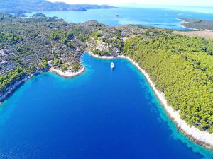 an aerial view of a beach and the ocean at Stone House Horizont in Vela Luka