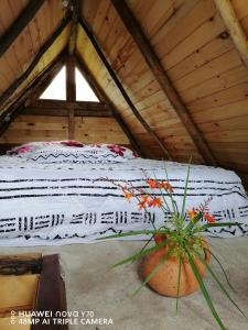 a bed in a room with a window and a plant at casita en la montaña, cabañas paraíso in Sesquilé