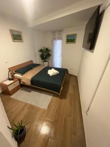 TV a/nebo společenská místnost v ubytování Rooms Balkovec