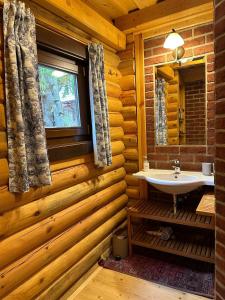 a bathroom with a sink in a log cabin at Luxusní srub na Lipně in Lipno nad Vltavou