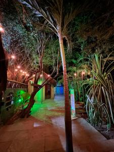 a palm tree in a park at night at Pousada Kite Cabana in Cumbuco