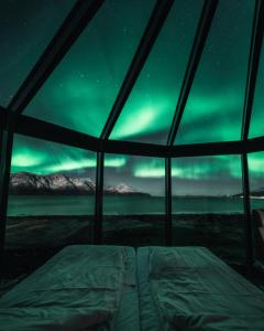 an igloo with a view of the aurora in the sky at Lyngen North in Rotsund