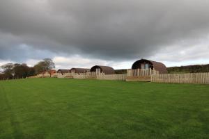 een rij koepelvormige gebouwen op een grasveld bij Carrock Pod, Hayton in Brampton