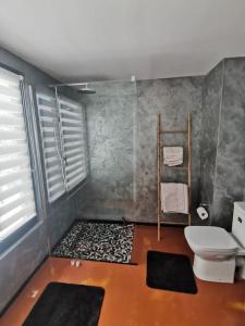 a bathroom with a toilet and a shower with mats at Mountain Home Bran in Bran