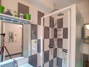 ラマルー・レ・バンにあるBel F2 climatisé à 400m du centre, WiFi, animaux acceptés - FR-1-451-22の洗面台と鏡のあるバスルーム