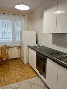 Kuchyňa alebo kuchynka v ubytovaní Apartment Kabaty