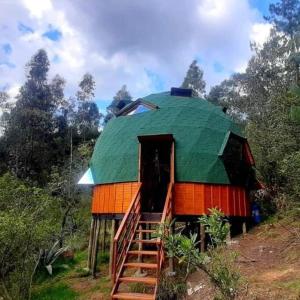 Nobsa的住宿－cabaña tipo domo 100% equipado，一座带绿色屋顶和楼梯的房屋
