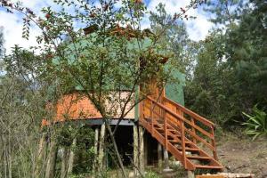 a house with a wooden staircase in the woods at cabaña tipo domo 100% equipado in Nobsa