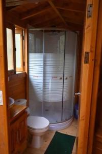 Nobsa的住宿－cabaña tipo domo 100% equipado，一间带卫生间和淋浴的小浴室