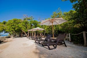 een rij stoelen en parasols op een strand bij Isla Tijereto in Isla Grande