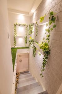 a staircase with ivy on the wall in a room at CASA HADASA in Cartagena de Indias