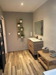 ein Badezimmer mit einem Waschbecken, einem Waschtisch und einem Spiegel in der Unterkunft Cassie Home in Saint-Jean-en-Royans