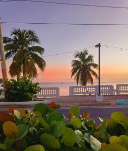 別克斯島的住宿－Lazy Guesthouse，日落时分享有海滩和棕榈树的景致