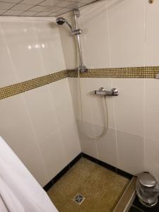 a shower with a hose in a bathroom at City-Apartments Hamburg in Hamburg