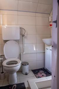 Koupelna v ubytování Apartmani Rocen