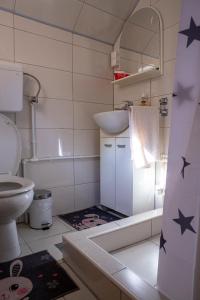 a bathroom with a sink and a toilet at Apartmani Rocen in Žabljak