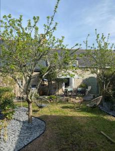 un jardin avec des chaises, une table et un arbre dans l'établissement Cosy's Kerguelen - Longère jardin, à Larmor-Plage