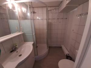 La salle de bains est pourvue d'un lavabo, de toilettes et d'une douche. dans l'établissement Appartement Seignosse, 2 pièces, 4 personnes - FR-1-239-107, à Seignosse