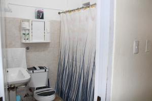 a bathroom with a toilet and a shower curtain at Apartamentos VBERMOR in Santo Domingo