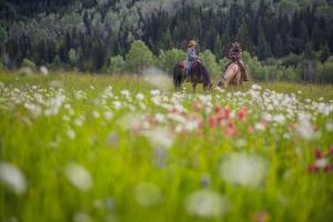 Hosté ubytování Montana Hill Guest Ranch
