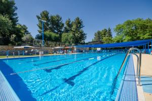 Πισίνα στο ή κοντά στο Kibbutz Malkiya Travel Hotel