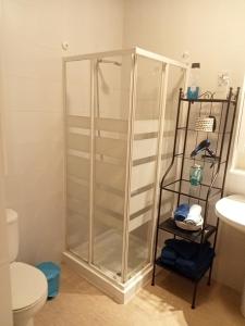um chuveiro na casa de banho com um WC e uma prateleira em Casa Analiz em Arrecife