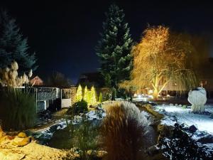 a garden at night with christmas lights at Ferienwohnung "MeerTied" - komfortabel und modern! in Klausdorf Mecklenburg Vorpommern