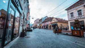 a cobblestone street in an old town with buildings at La Garcon in Braşov