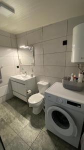 a bathroom with a toilet and a washing machine at Cozy 1 BR w/ balcony, ocean view & perfect sunsets in Ribeira Brava