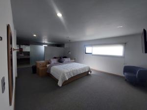 a bedroom with a large bed and a window at Oaxaca Inn Reforma in Oaxaca City