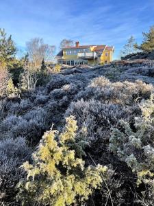 a house on top of a hill with bushes at Lovely, bright apartment overlooking nature in Fiskebäckskil