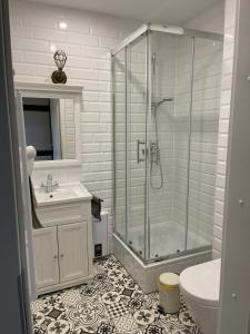 a bathroom with a shower and a sink and a toilet at Gutshauszimmer Premium Doppel in Neu Gaarz