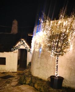 een boom met lichten in een pot voor een gebouw bij Trullo Nobilis in Alberobello