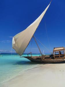 a boat with a white sail on a beach at Savi House Nungwi in Nungwi