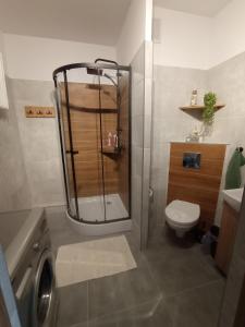 Kúpeľňa v ubytovaní MK Apartament IV