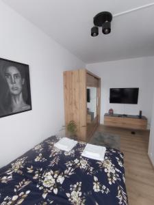 Televízia a/alebo spoločenská miestnosť v ubytovaní MK Apartament IV