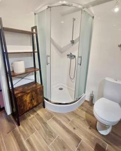 łazienka z prysznicem i toaletą w obiekcie Loft w Starej Wozowni w mieście Krynica Zdrój