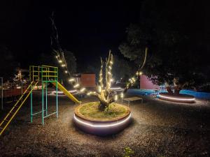 un parque nocturno con un árbol y un parque infantil en Amraness Luxury Resort Sasan Gir, en Sasan Gir