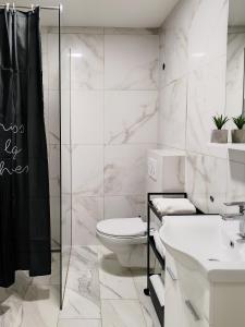 a white bathroom with a toilet and a shower at Stara Pošta Apartment 8 in Grosuplje