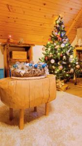 Fotografie z fotogalerie ubytování Kuća za odmor Delak v destinaci Fužine