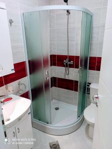 een badkamer met een douche, een wastafel en een toilet bij Studio Star in Soko Banja