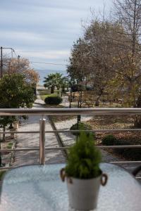 A balcony or terrace at Musses House
