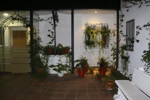 Zimmer mit Topfpflanzen an der Seite eines Gebäudes in der Unterkunft Hostal San Blas in Madrid