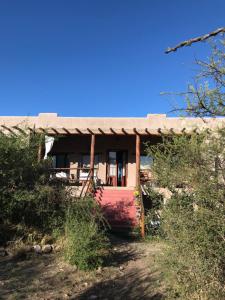 Cabañas Taos Pueblo外面的花园