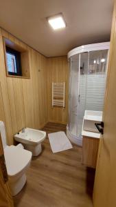 a bathroom with a toilet and a sink and a shower at Departamento muy cálido y luminoso, excelente ubicación en el centro de SMA. 9V5 in San Martín de los Andes +29 photos