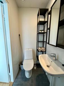 een badkamer met een toilet en een wastafel bij Savi Apartment 2 in Pärnu