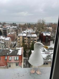 Obiekt Apartament Karlikowska z widokiem na morze zimą