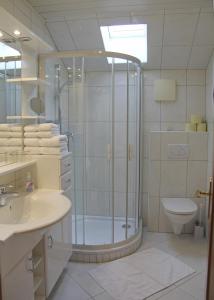 y baño con ducha, aseo y lavamanos. en Haus Kogler, en Aich