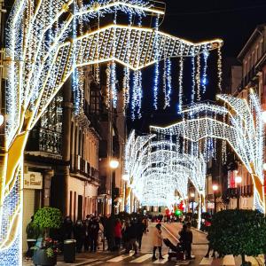グラナダにあるModerno apartamento Palacio de Congresosのクリスマスライトと人歩きが行われる街道