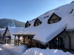 GRAND HARRACHOV PENSION v centru v zime